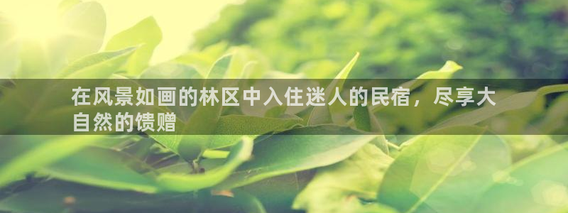 球盟会app手机登录|在风景如画的林区中入住迷人的民宿，尽享大
自然的馈赠