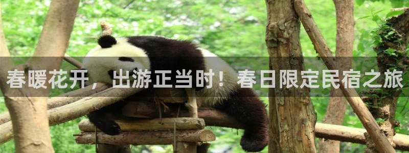 球盟会登陆中心|春暖花开，出游正当时！春日限定民宿之旅