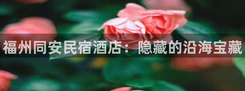 球盟会登陆中心|福州同安民宿酒店：隐藏的沿海宝藏