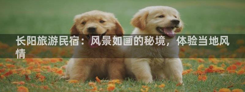 球盟会官方网站|长阳旅游民宿：风景如画的秘境，体验当地风
情